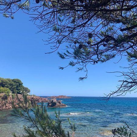 Studio Climatise Avec Piscine Saint-Raphaël Zewnętrze zdjęcie