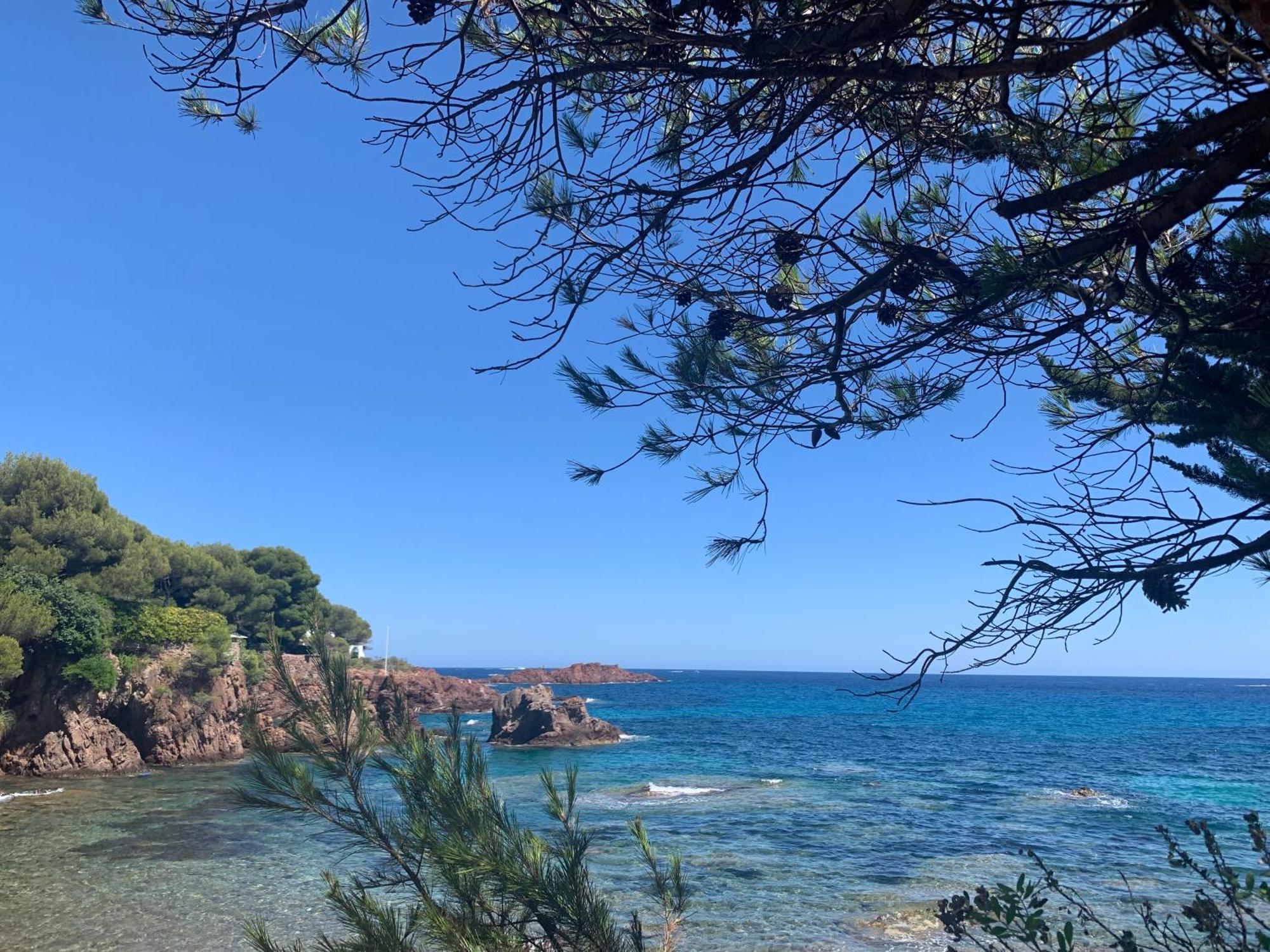 Studio Climatise Avec Piscine Saint-Raphaël Zewnętrze zdjęcie